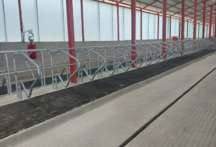 Süngerli (Hafızalı) Hayvan Yatakları