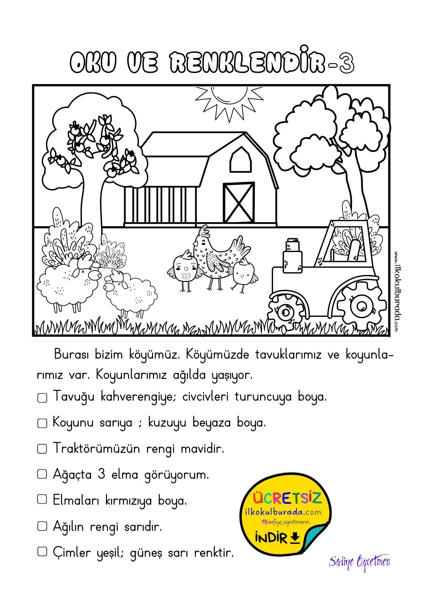 1.Sınıf Yönergeleri Uygulama Çalışmaları – Oku ve Renklendir Etkinliği – 3