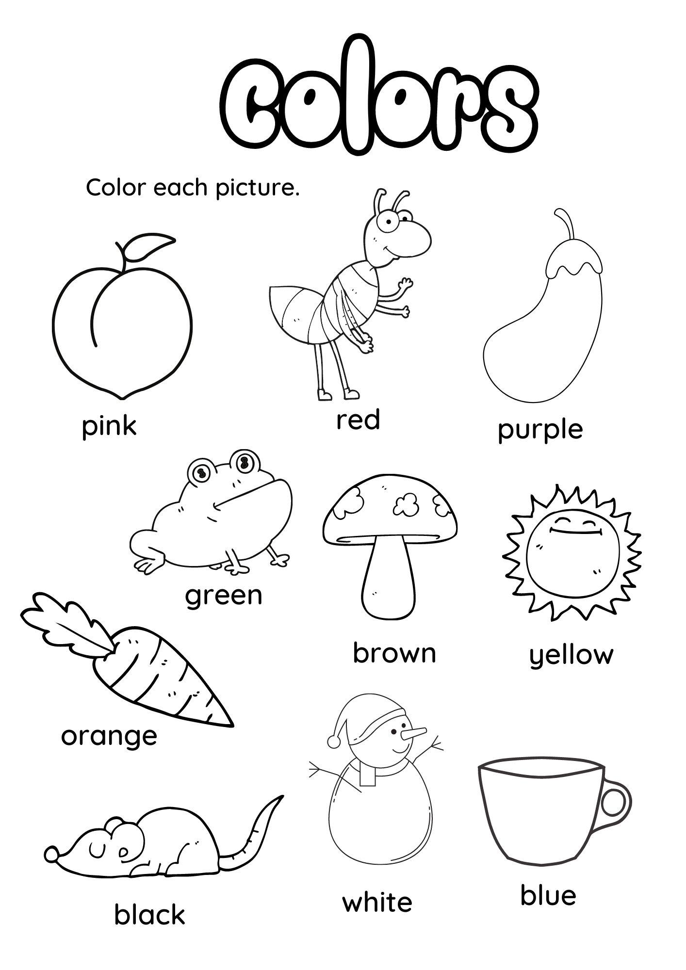 Colors