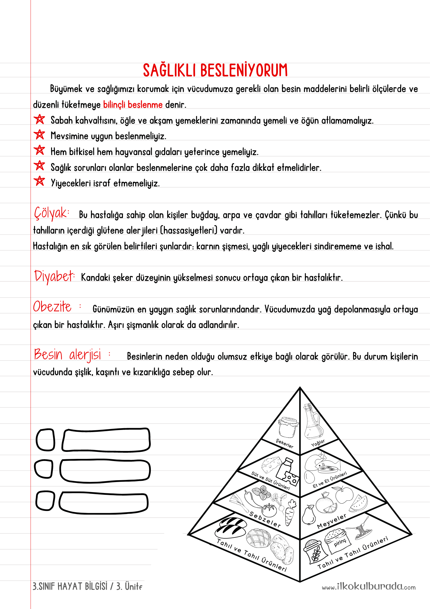 3.Sınıf Hayat Bilgisi - Sağlıklı Besleniyorum Defter Notu