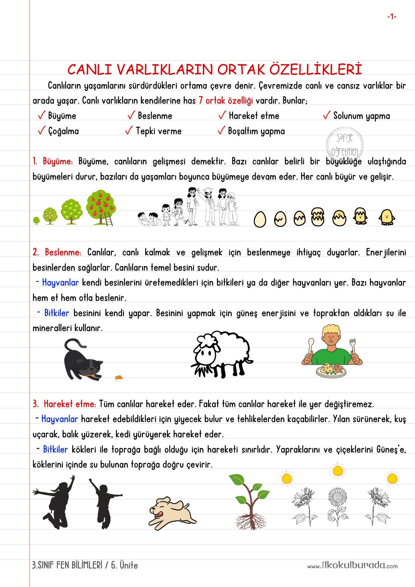 3.Sınıf Fen Bilimleri- Canlı Varlıkların Ortak Özellikleri Defter Notları