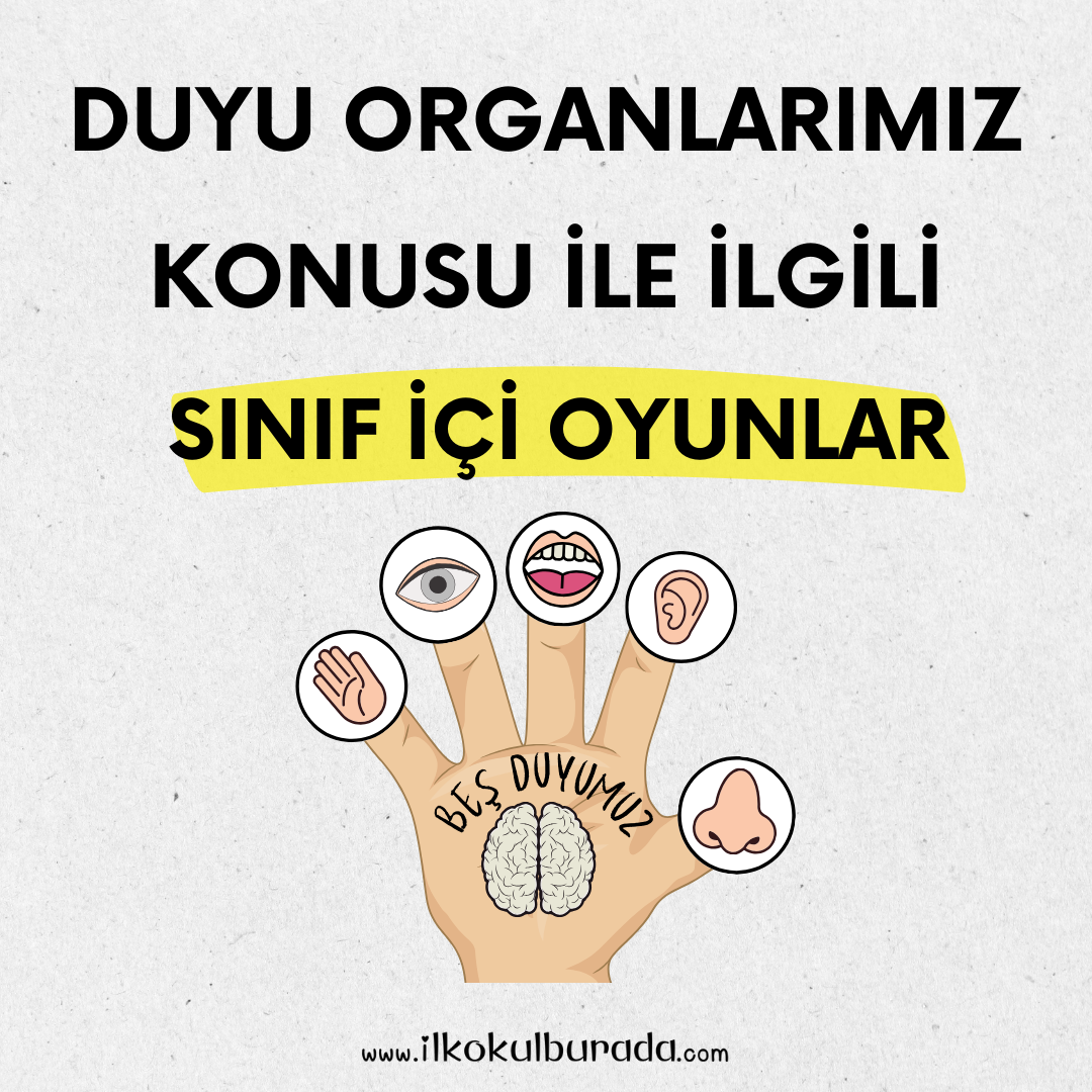 Duyu Organlarımız Konusu İle İlgili Sınıfta Oynanabilecek  Oyunlar
